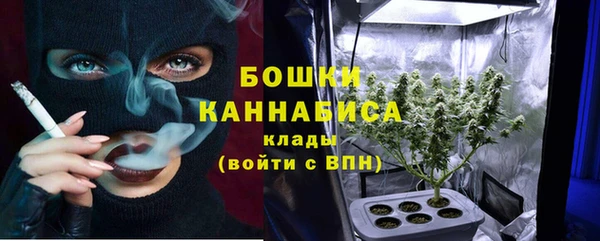 ПСИЛОЦИБИНОВЫЕ ГРИБЫ Елизово