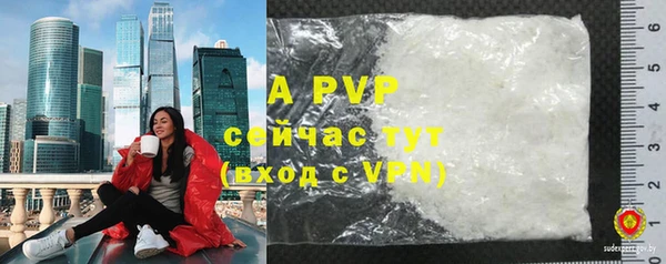 ПСИЛОЦИБИНОВЫЕ ГРИБЫ Елизово