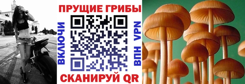 Псилоцибиновые грибы мухоморы  Купить где  Коркино 